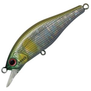 パームス　アレキサンドラ　ＡＸ‐６３ＨＷ／アバロンアユ