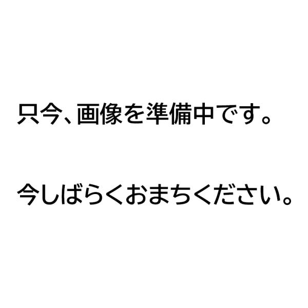 パームス　ジオピック　ＧＰ−３０　ＩＢ−１５　ＵＶケイオレグロー