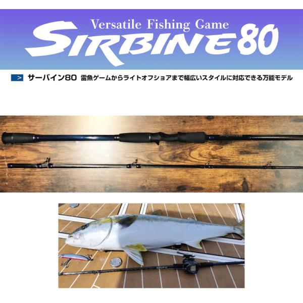 ひしも　サーバイン　ＳＩＲＢＩＮ８０