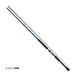 DAIWA（ダイワ） 船竿 落とし込みX M-240 [2020年モデル] : 釣具の