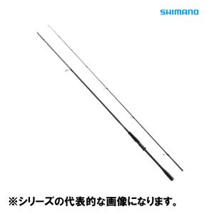 シマノ（SHIMANO） 10 ディアルーナ S906M /SL062Y 美品 シーバス
