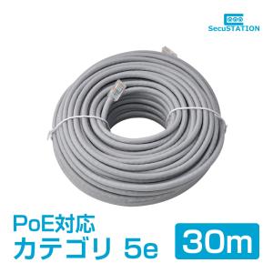 LANケーブル Cat5e 30m｜secu