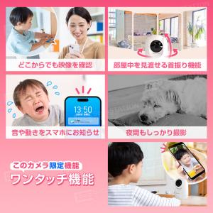 【SD32GB+ステッカー2枚セット】見守りカ...の詳細画像4