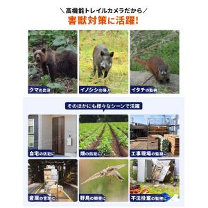 防犯カメラ トレイルカメラ ソーラーパネル一体...の詳細画像5
