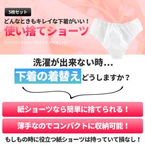 使い捨てショーツ 入院 ショーツレディース シ...の詳細画像3