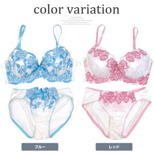 ブラジャー ショーツセット 大きいサイズ 福袋...の詳細画像1