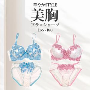 ブラジャー ショーツセット 大きいサイズ 福袋...の詳細画像3