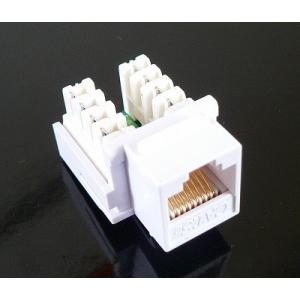 Cat5e RJ45 モジュラージャック　白50個 LAN モジュラージャック ボックス CAT.5E : 通信情報機器シード