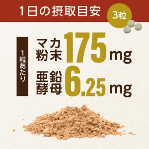 サプリ サプリメント マカ 約3ヵ月分 ダイエットの詳細画像2