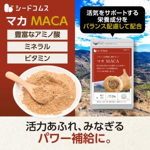 サプリ サプリメント マカ 約3ヵ月分 ダイエットの詳細画像3
