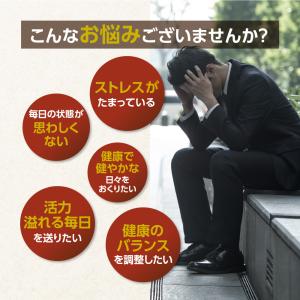 サプリ サプリメント マカ 約3ヵ月分 ダイエットの詳細画像5