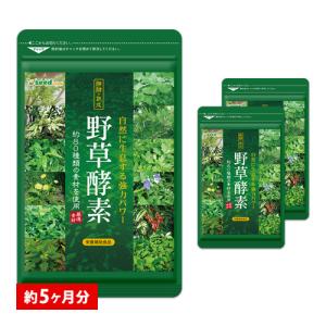 サプリ サプリメント 生酵素 酵素 野草酵素 約...の商品画像