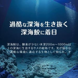 サプリ サプリメント 鮫肝油スクワレン 約1ヵ...の詳細画像3