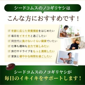 サプリ サプリメント ノコギリヤシエキス 約1...の詳細画像2