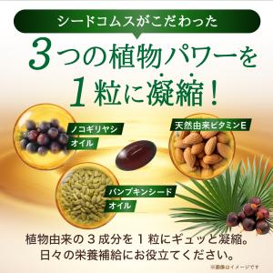 サプリ サプリメント ノコギリヤシエキス 約1...の詳細画像3