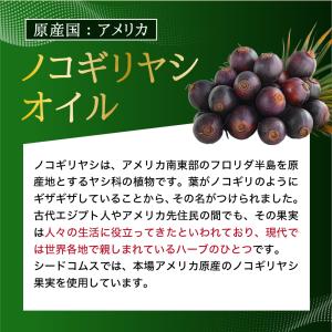 サプリ サプリメント ノコギリヤシエキス 約1...の詳細画像4