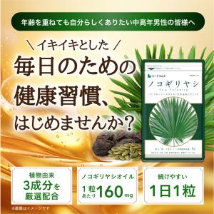 サプリ サプリメント ノコギリヤシ 約3ヵ月分...の詳細画像1