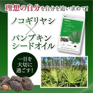サプリ サプリメント ノコギリヤシ 約3ヵ月分...の詳細画像2