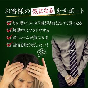 サプリ サプリメント ノコギリヤシ 約3ヵ月分...の詳細画像3