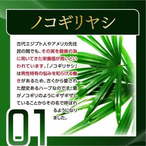 サプリ サプリメント ノコギリヤシ 約3ヵ月分...の詳細画像4
