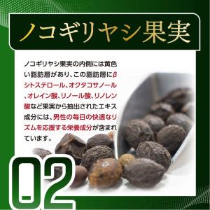 サプリ サプリメント ノコギリヤシ 約3ヵ月分...の詳細画像5