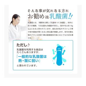 サプリ サプリメント 乳酸菌 サプリ 有胞子性...の詳細画像3