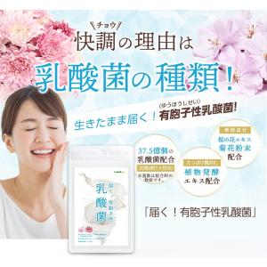 サプリ サプリメント 乳酸菌 サプリ 有胞子性...の詳細画像1