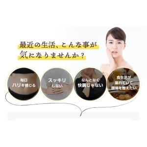 サプリ サプリメント 乳酸菌 サプリ 有胞子性...の詳細画像2