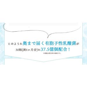 サプリ サプリメント 乳酸菌 サプリ 有胞子性...の詳細画像5