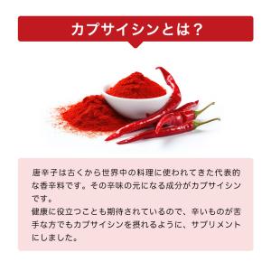 サプリ サプリメント カプサイシン ダイエット...の詳細画像2