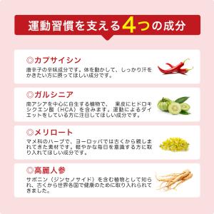 サプリ サプリメント カプサイシン ダイエット...の詳細画像3