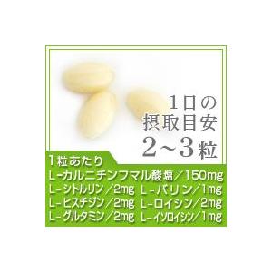 サプリ サプリメント L-カルニチンン BCA...の詳細画像1