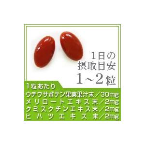 サプリ サプリメント サプリ サプリメント メ...の詳細画像1