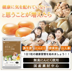 サプリ サプリメント にんにく卵黄 黒生姜入り...の詳細画像1