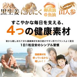 サプリ サプリメント にんにく卵黄 黒生姜入り...の詳細画像2