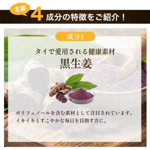 サプリ サプリメント にんにく卵黄 黒生姜入り...の詳細画像4
