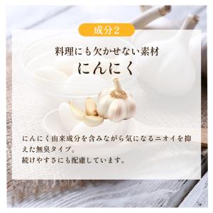 サプリ サプリメント にんにく卵黄 黒生姜入り...の詳細画像5
