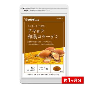 ☆新品 スリムビューティハウス エンザイム フローラ 発酵 エステ