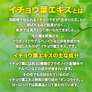サプリ サプリメント イチョウ葉エキス 約1ヵ...の詳細画像4
