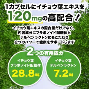 サプリ サプリメント イチョウ葉エキス 約1ヵ...の詳細画像5