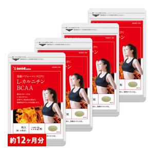 サプリ サプリメント LカルニチンBCAA BIGサイズ約1年分　サプリ　サプリメント