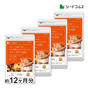 サプリ サプリメント コエンザイムQ10Lカルニチンαリポ酸+葉酸 BIGサイズ約1年分　サプリ　サプリメント ダイエット｜シードコムスYahoo!店