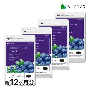BENEFIQUE 資生堂 ベネフィーク ブライトサーキュリスト 240粒