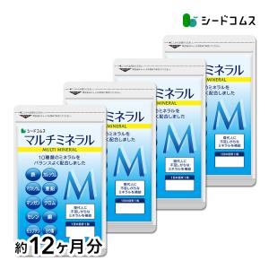 サプリ サプリメント マルチミネラル BIGサイズ約1年分　サプリ　サプリメント