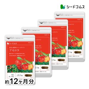 サプリ サプリメント アセロラビタミンC 約12ヵ月分　送料無料　サプリ　サプリメント