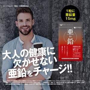 サプリ サプリメント 亜鉛 BIGサイズ約1年...の詳細画像1