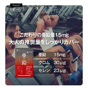 サプリ サプリメント 亜鉛 BIGサイズ約1年...の詳細画像2