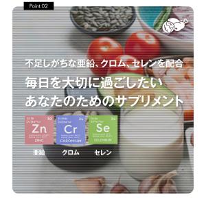 サプリ サプリメント 亜鉛 BIGサイズ約1年...の詳細画像3