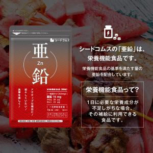 サプリ サプリメント 亜鉛 BIGサイズ約1年...の詳細画像4