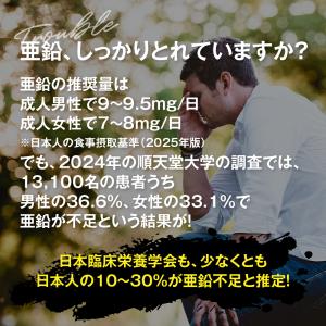 サプリ サプリメント 亜鉛 BIGサイズ約1年...の詳細画像5